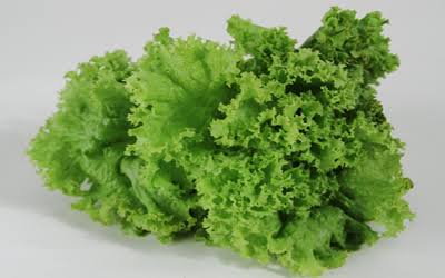 Iceberg Lettuce